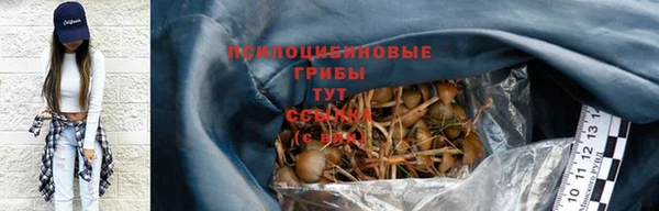 не бодяженный Арсеньев