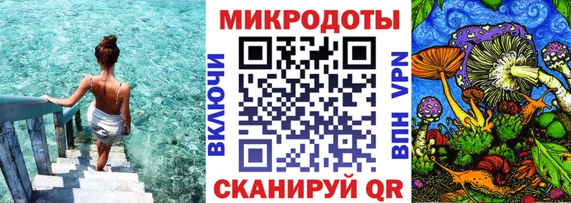 Галлюциногенные грибы прущие грибы  Тейково 
